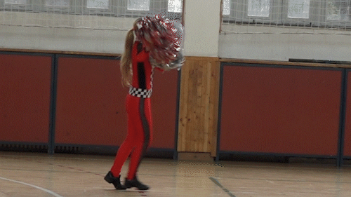 Wehrmacht pochod.gif